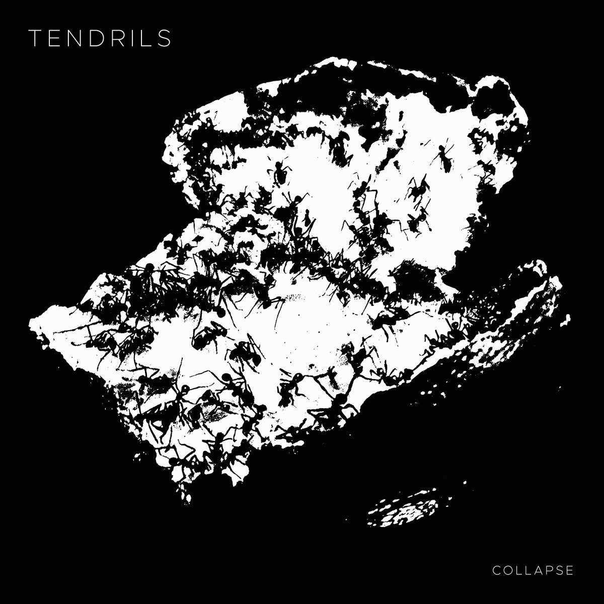 Tendrils - Collapse - Tape (2019)